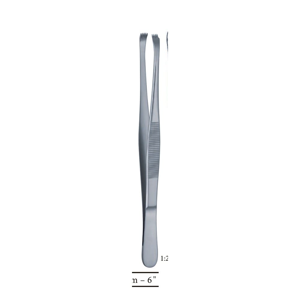Stone Tissue Forceps — 150 mm (15 cm) 1 Stone Tissue Forceps — 150 mm (15 cm)