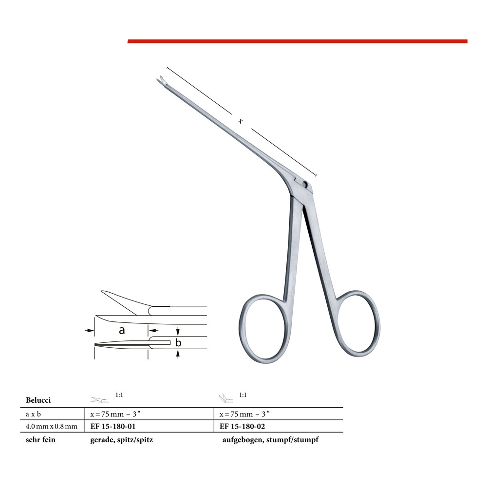 Wullstein x = 4.0mm x 0.8mm, straight, sharp/sharp 80mm 1 Wullstein x = 4.0mm x 0.8mm, straight, sharp/sharp 80mm