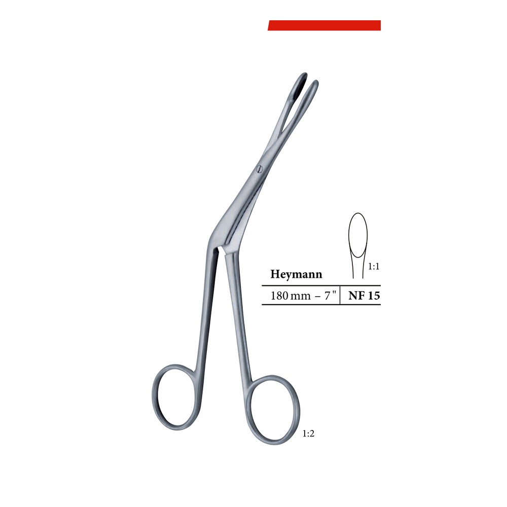 Littauer 180mm 1 Littauer 180mm