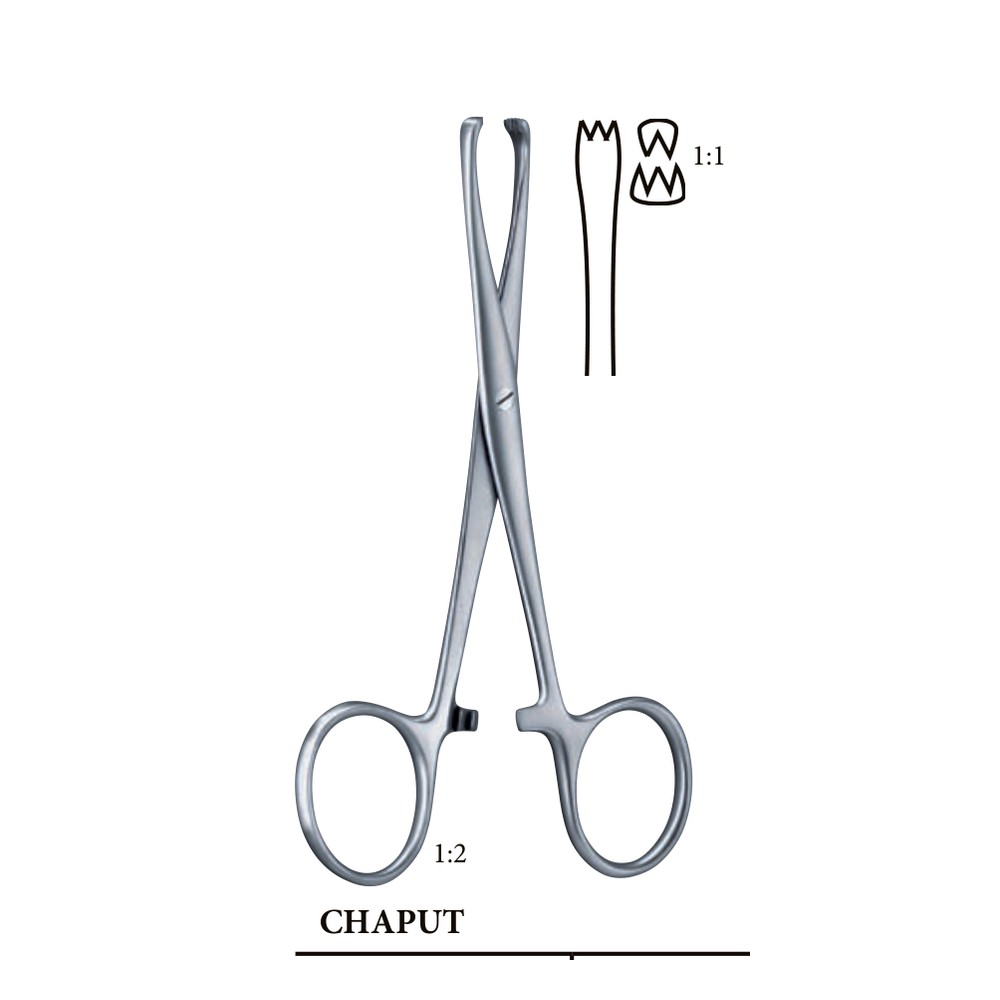 CHAPUT 130mm 13cm HAEMOSTATIC FORCEPS 1 CHAPUT 130mm 13cm HAEMOSTATIC FORCEPS