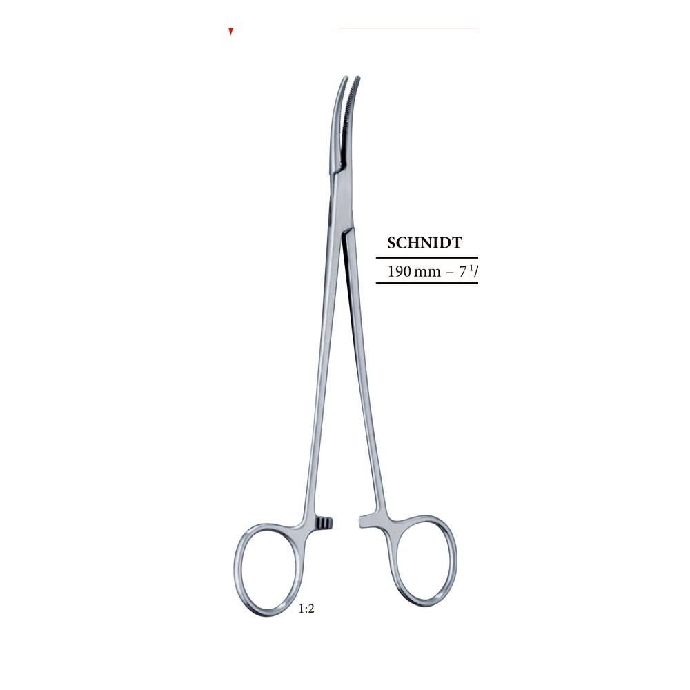Schnidt Hemostatic Forceps — 190 mm (19 cm), Pattern 241 1 Schnidt Hemostatic Forceps — 190 mm (19 cm), Pattern 241