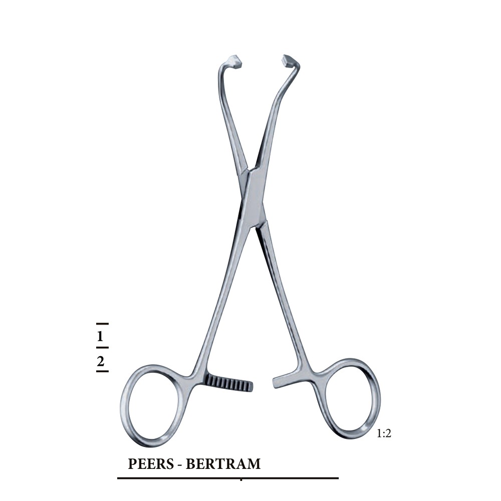 PEERS - BERTRAM 145mm 14 .5cm Towel forceps 1 PEERS – BERTRAM 145mm 14 .5cm Towel forceps