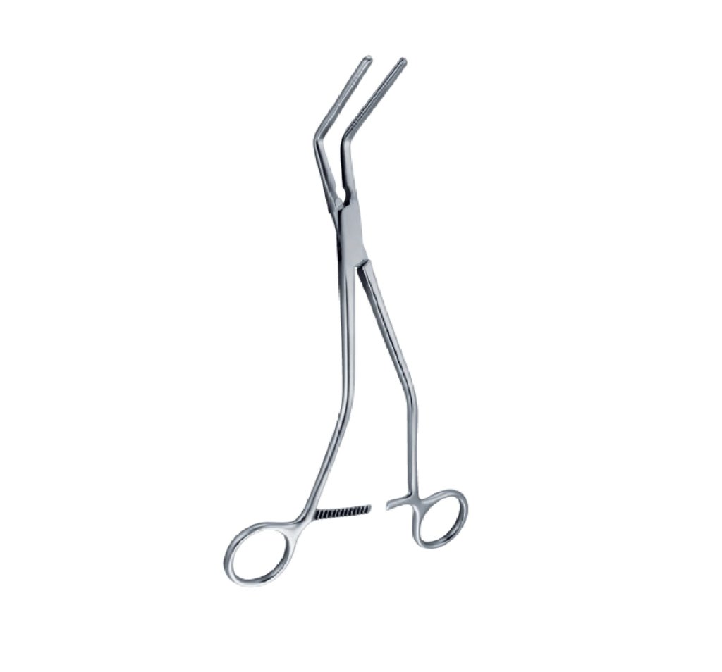 Hayes forcep 260mm - 10 1/4 '' 1 Hayes forcep 260mm - 10 1/4 ''