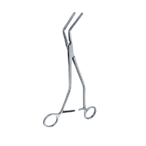 Hayes forcep 260mm - 10 1/4 ''