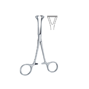 Babcock 140 mm - 51/2" Forcep