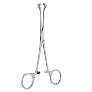 Babcock A trauma 160mm - 61/4 '' Forcep