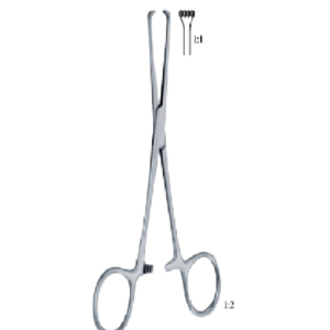 Allis-Baby 130 mm - 5" Forcep