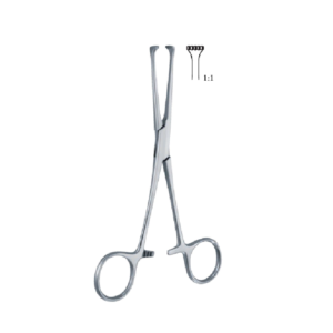 Allis 150mm - 6" Forcep