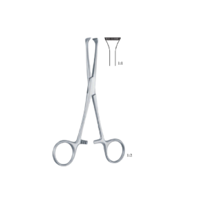 Allis-Adair l55mm- 6 "