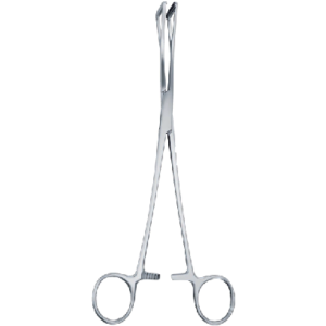 Scheibe 180mm - 7" forcep