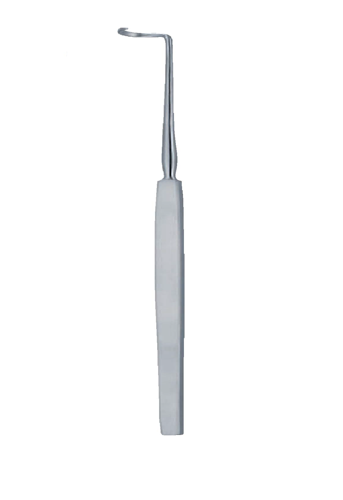 Rotter 260mm - 10 1/4 '' Suture instruments 1 Rotter 260Mm - 10 1/4 '' Suture Instruments