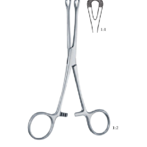 Williams 160 mm - 6 1/4" Forcep