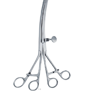 Lane 300mm - 12 '' Clamp