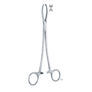 Littlewood 190mm - 71/ 2 " Forcep