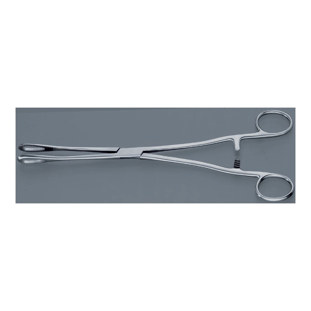 RAMPLEY 250 mm Sponge holding forceps 1 CF 05-25-02
