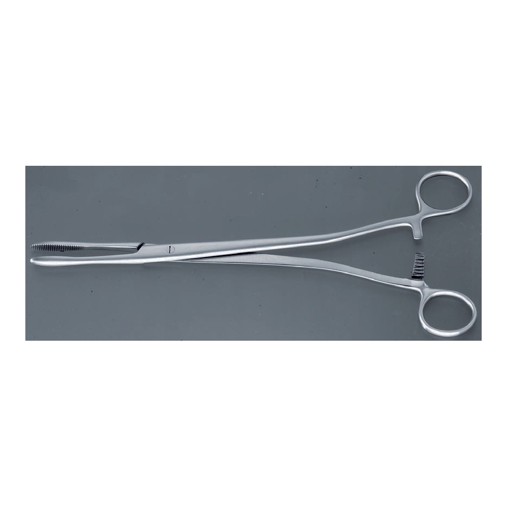 RAMPLEY 250 mm Sponge holding forceps 1 CF 05-26-02