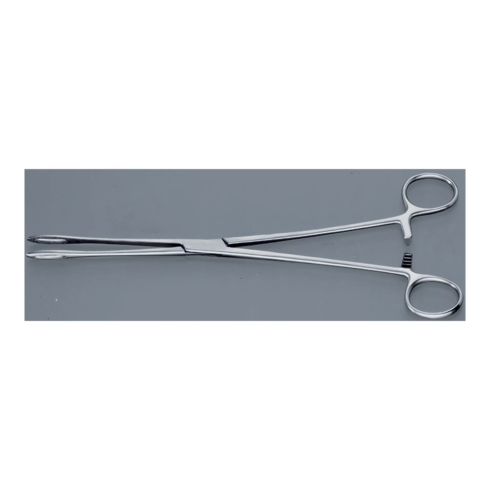 BERGMANN - FOERSTER 250 mm Sponge holding forceps 1 CF 05-51-01