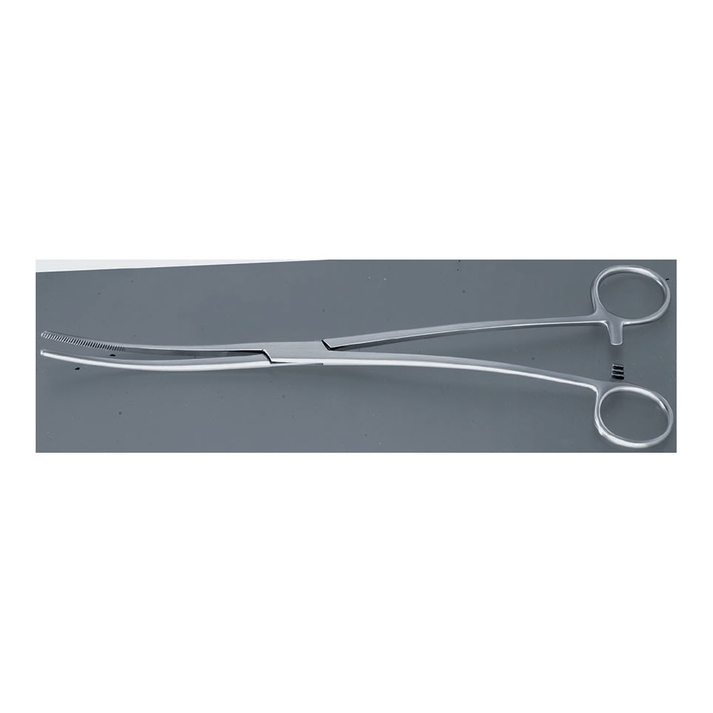 BOZEMANN S-curved 260 mm Sponge holding forceps 1 CF 05-85-01