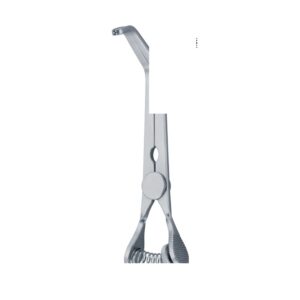 CV 07-155-01