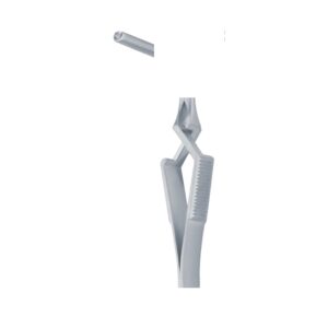 CV 07-170-01