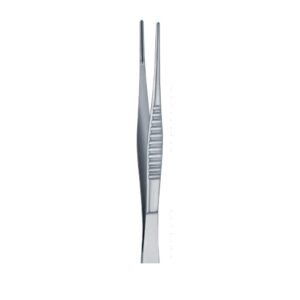 CV 07-181-05