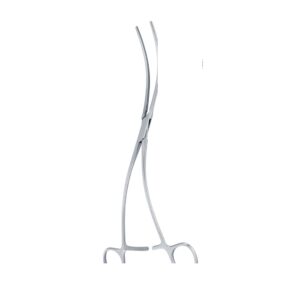 CV 07-231-01