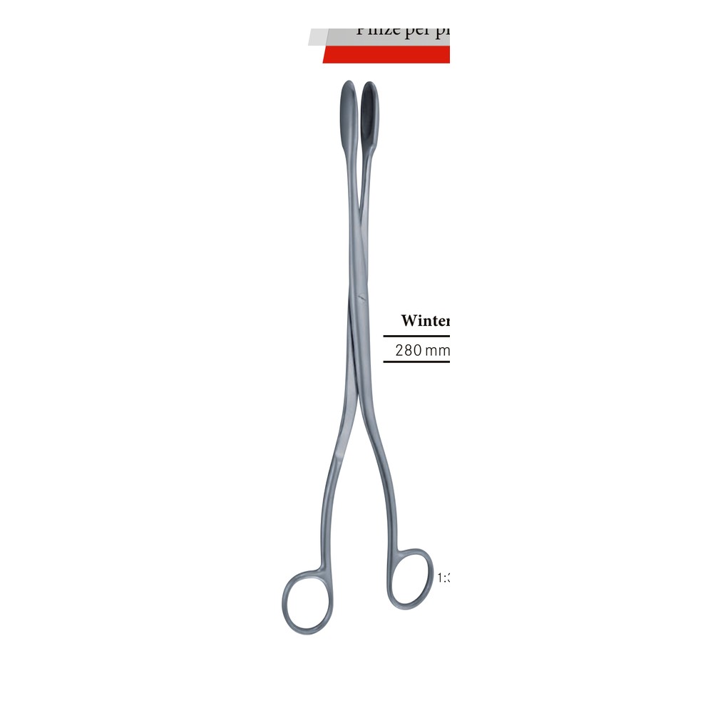 Winter Curved 280mm (28cm) Abortion forceps – Ovum curettes 1 GY 12-726-02