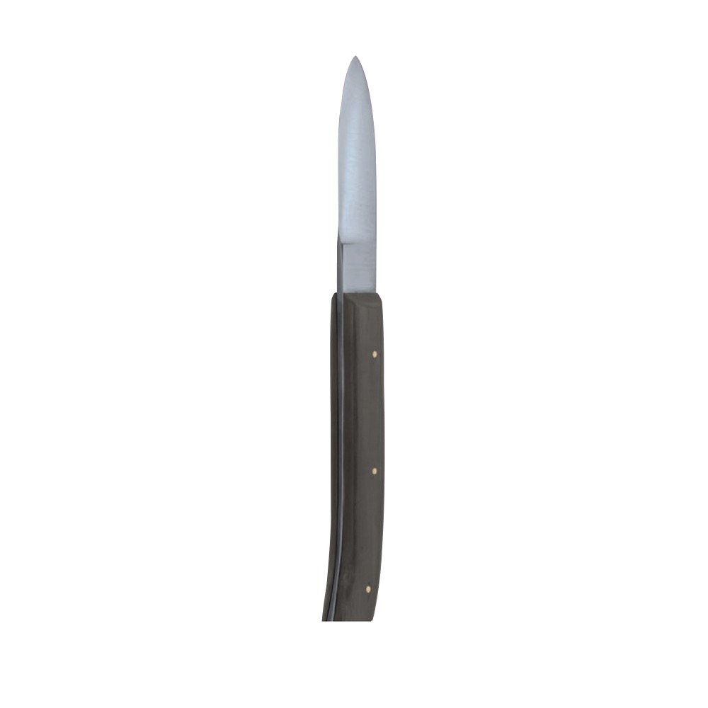 Hopkins 200 mm - Plaster instruments 1 PI 14-110-01