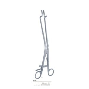 Endospecula