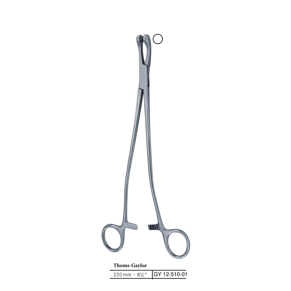 Thoms-Gaylor 240mm (24cm) Cervical Biopsy /Specimen Forceps 1 Thoms-Gaylor 240mm (24cm) Cervical Biopsy /Specimen Forceps