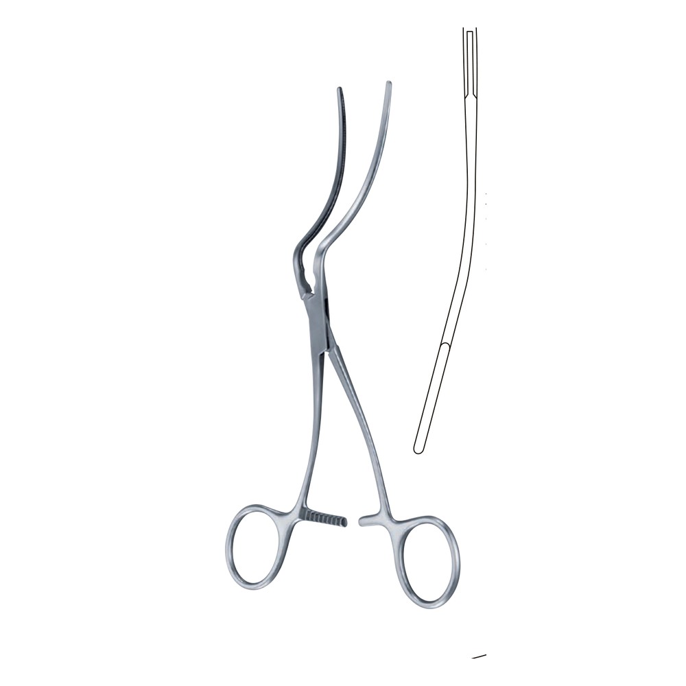 DE BAKEY-WYLIE 170 mm (17 cm) Vascular forceps 1 DE BAKEY-WYLIE 170 mm (17 cm) Vascular forceps