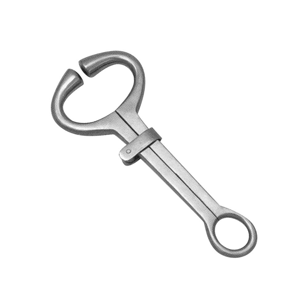 Bull Ring / Lead Model 22 1 Bull Ring / Lead Model 22