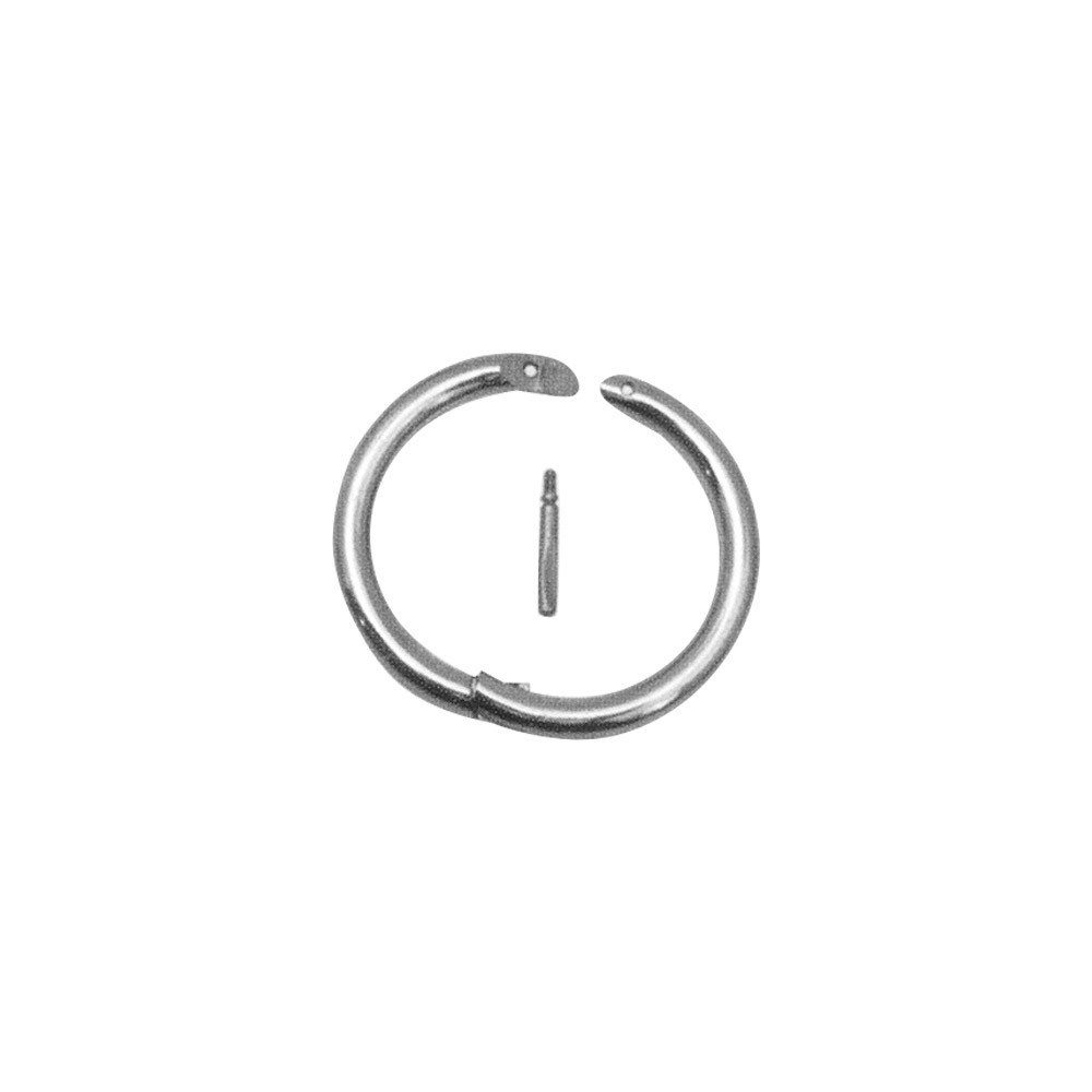 Bull Ring / Lead Model 31 1 Bull Ring / Lead Model 31