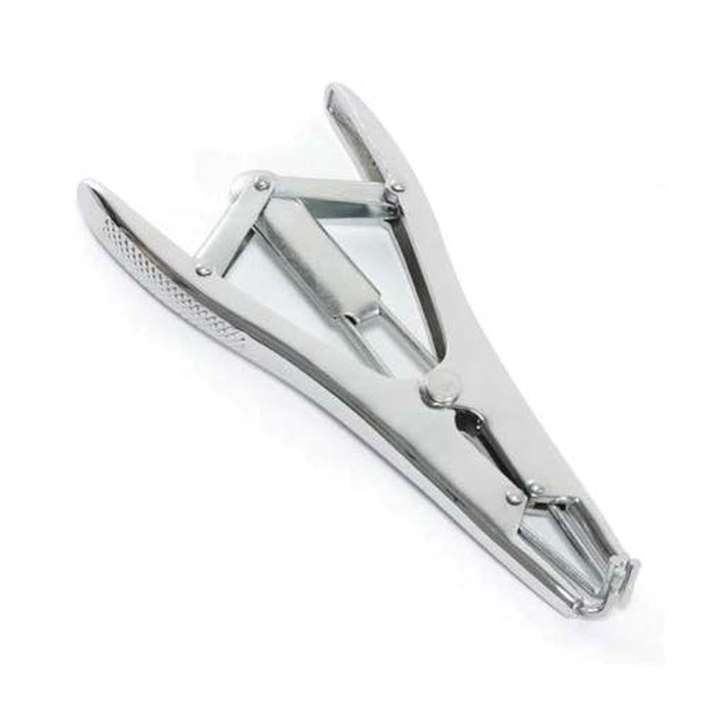 Castration Forceps Model 10 1 Castration Forceps Model 10
