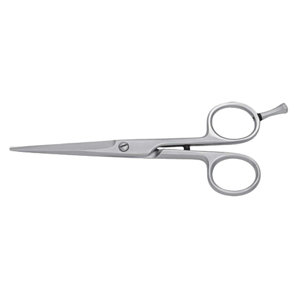 Hair Dressing Scissor (DS 007) 1 Hair Dressing Scissor (DS 007)