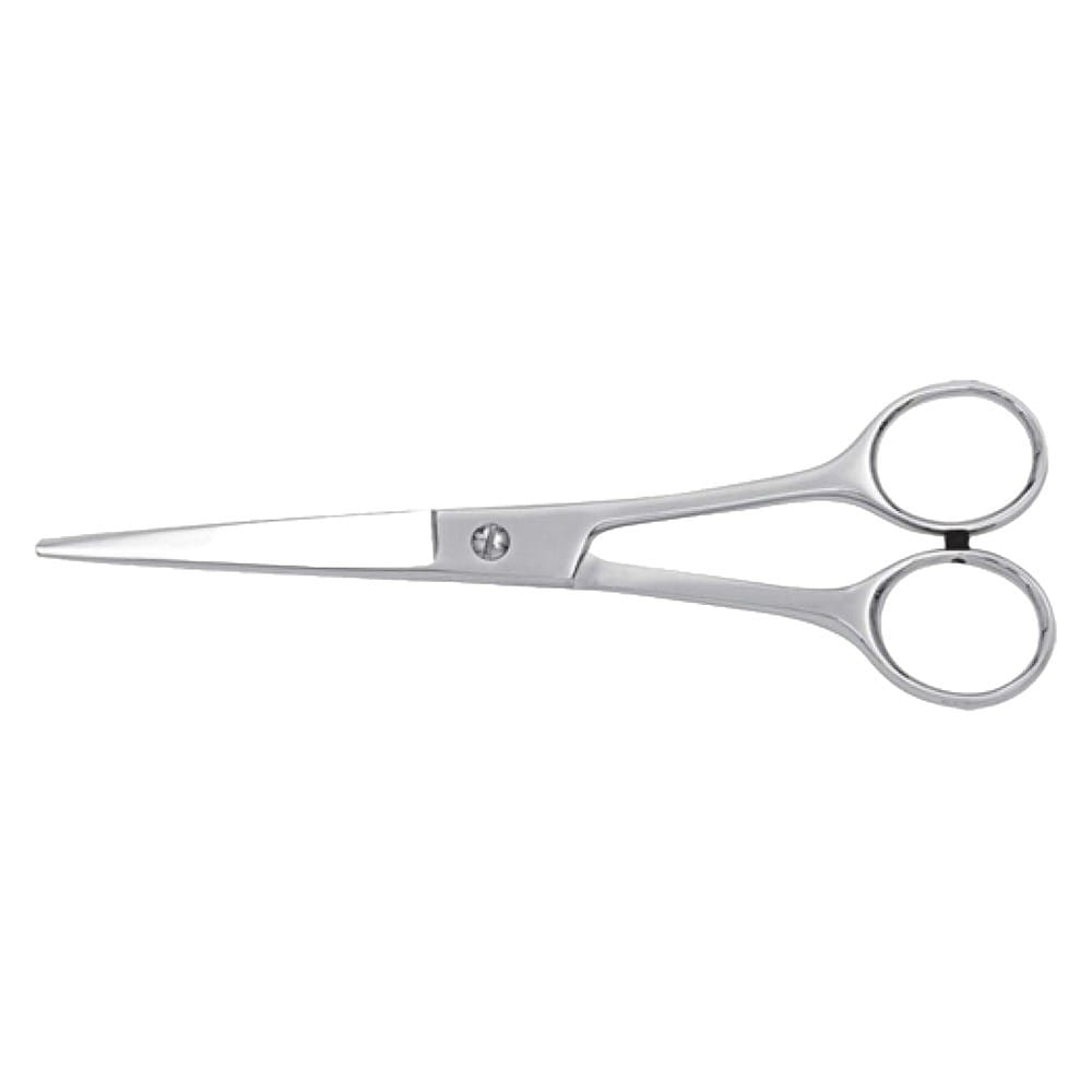 Hair Dressing Scissor (DS 010) 1 Hair Dressing Scissor (DS 010)