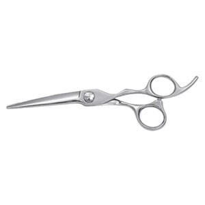 Hair Dressing Scissor (DS 012)