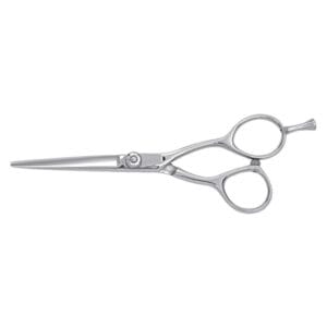 Hair Dressing Scissor (DS 015)
