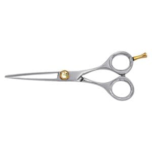 Hair Dressing Scissor (DS 018)