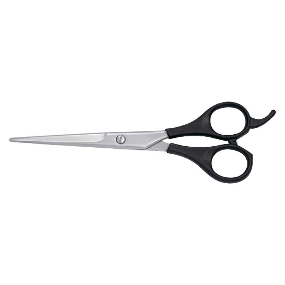 Hair Dressing Scissor (DS 019) 1 Hair Dressing Scissor (DS 019)