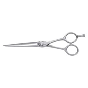 Hair Dressing Scissor (DS 020)