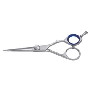 Hair Dressing Scissor (DS 021)