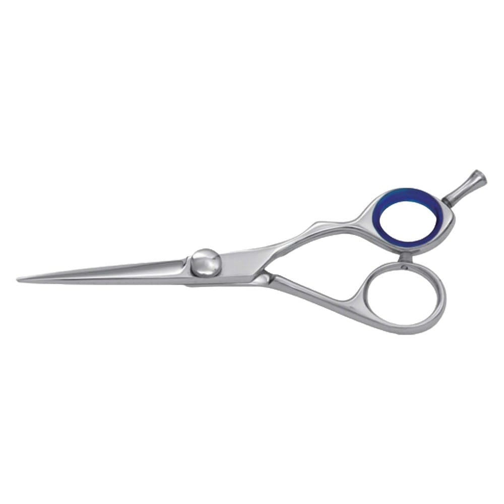 Hair Dressing Scissor (DS 021) 1 Hair Dressing Scissor (DS 021)