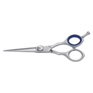 Hair Dressing Scissor (DS 022)
