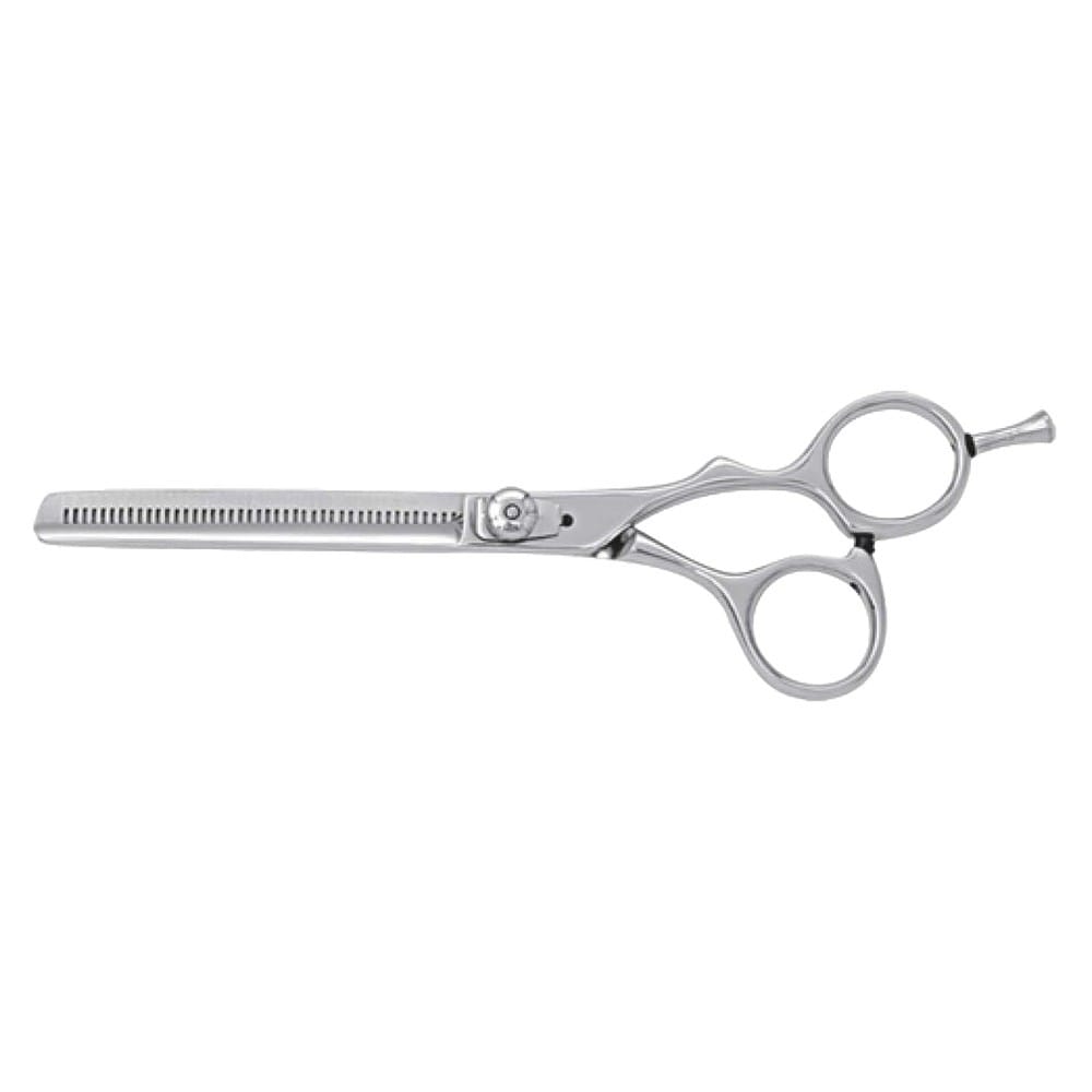 Hair Dressing Scissor (DS 024) 1 Hair Dressing Scissor (DS 024)