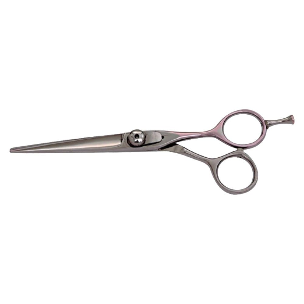 Hair Dressing Scissor (DS 030) 1 Hair Dressing Scissor (DS 030)