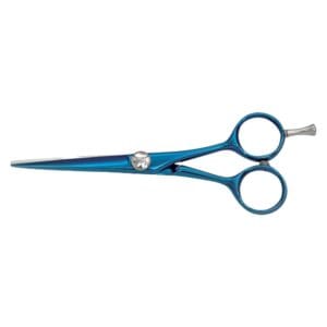 Hair Dressing Scissor (DS 031)