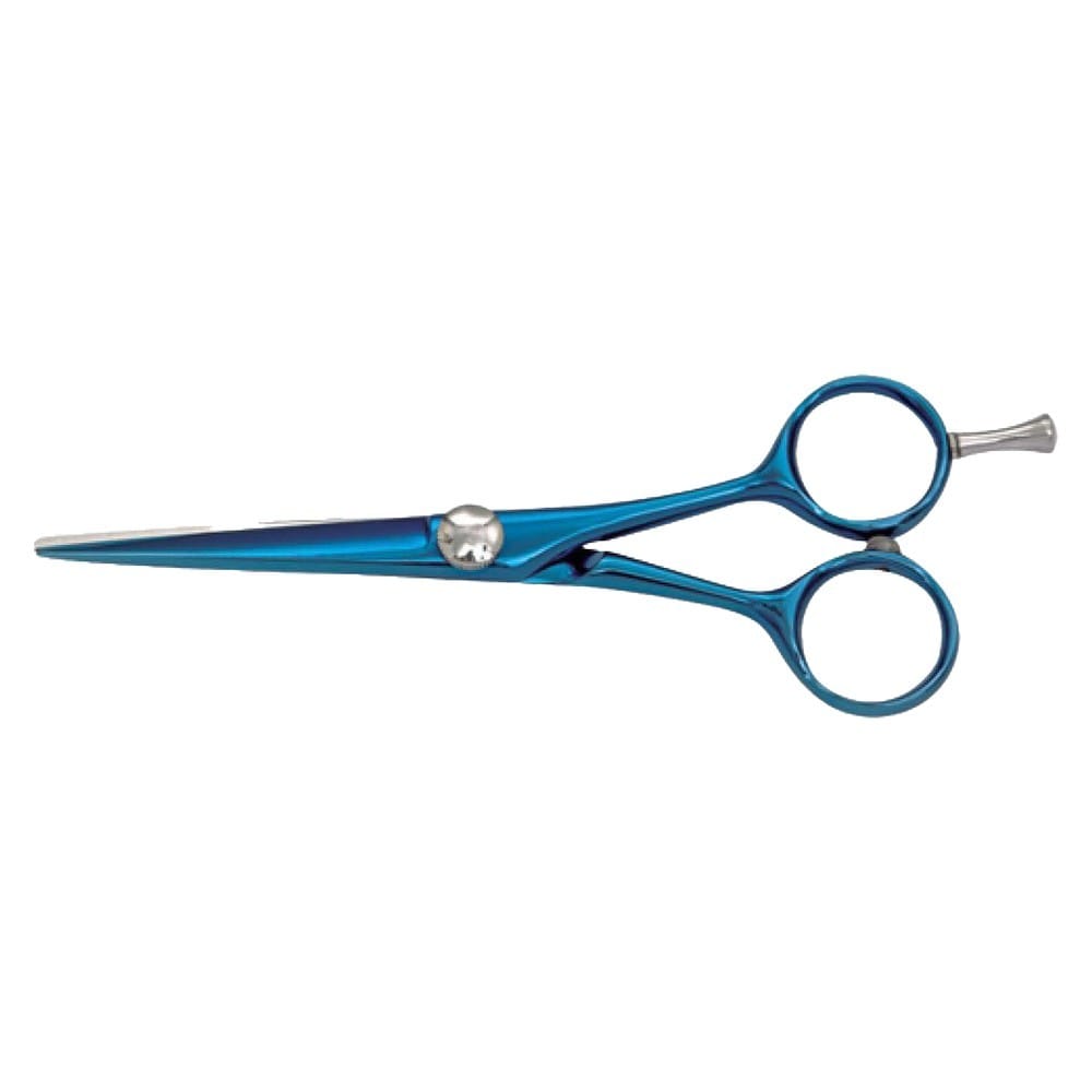 Hair Dressing Scissor (DS 031) 1 Hair Dressing Scissor (DS 031)