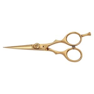 Hair Dressing Scissor (DS 032)