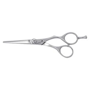 Hair Dressing Scissor (DS 042)